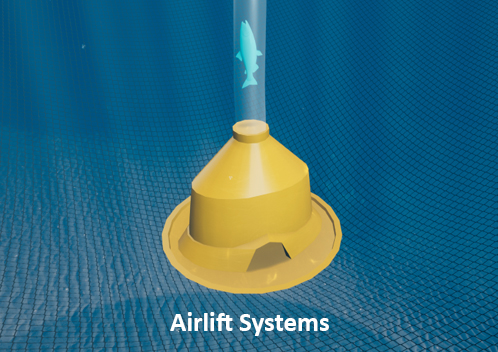 Airlift System - Aquaculture