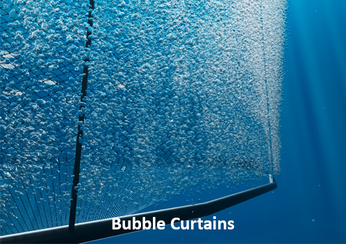 Bubble Curtains in Aquaculture