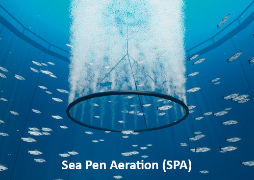 Sea Pen Aeration in Aquaculture