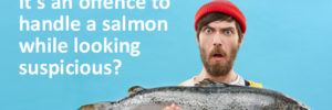 Man Holding Fish reads- DId you know? It's an offence to handle a salmon while looking suspicious?