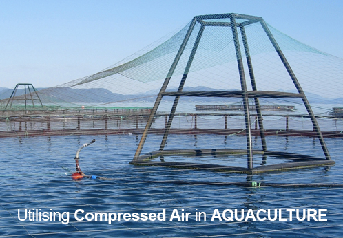 Aquaculture Net 2