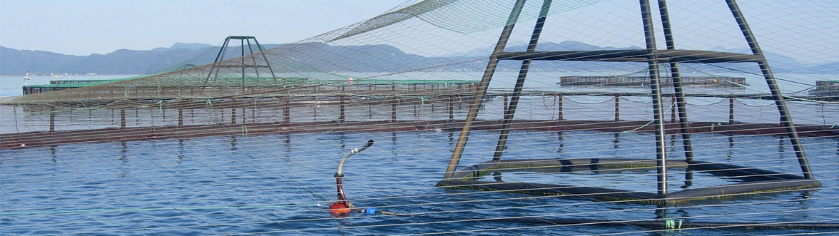 air in aquaculture